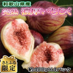 【さとふる限定】【農園直送】和歌山紀の川産の完熟濃厚いちじく400g×4パック入り
