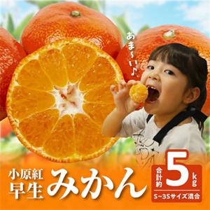 ふるさと納税 みかん 高松市 【先行受付】ご家庭用小原紅早生みかん(サイズおまかせ)約5kg【202...