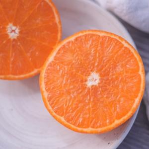 奄美完熟たんかん優品5kg(L、2Lサイズ)