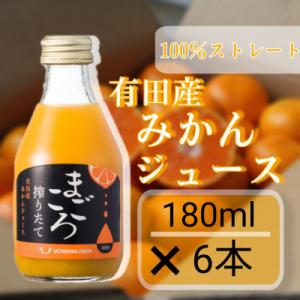 【まごころ搾りたて】有田みかんジュース100% 180ml 6本