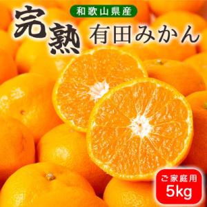 ふるさと納税 湯浅町 【先行受付】有田みかん 5kg ご家庭用 訳あり【2026年10月下旬〜発送予定】