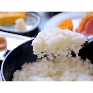 ふるさと納税 南魚沼市 生産者限定 南魚沼しお...の詳細画像1