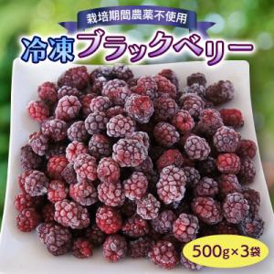 冷凍ブラックベリー(500g×3袋)