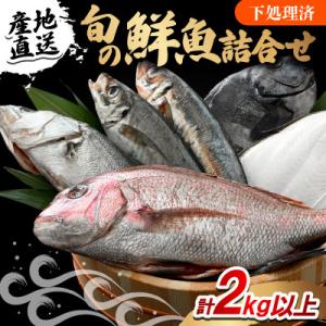 【加福鮮魚】「若狭小浜港産地直送」のお任せ天然鮮魚セット!