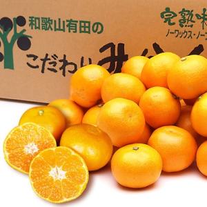 ふるさと納税 有田市 有田みかん「未来への虹」(2Sサイズ)約10kg(伊藤農園)