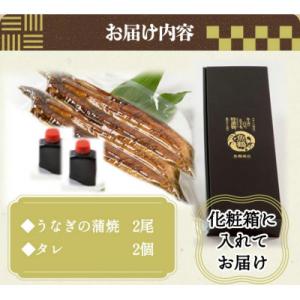 ふるさと納税 美浜町 大型サイズ ふっくら柔ら...の詳細画像3