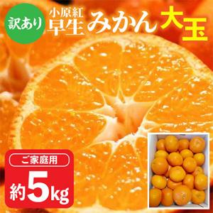 ふるさと納税 みかん 高松市 【先行受付2025年】感謝企画　ご家庭用小原紅早生みかん(大玉)　約5...