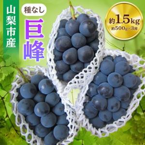 【2026年発送】山梨市産「巨峰(種なし)」詰め合わせ(約500g×3房)