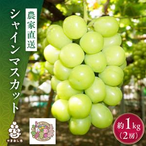 ふるさと納税 山梨市 【先行受付】シャインマスカット 1kg (2房) 農家直送 世界農業遺産認定地特産