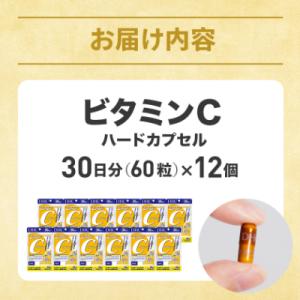 ふるさと納税 掛川市 DHC ビタミンC(ハー...の詳細画像2