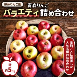 【令和8年11月下旬発送開始】青森りんご「バラエティ詰め合わせ」約5kg(家庭用)