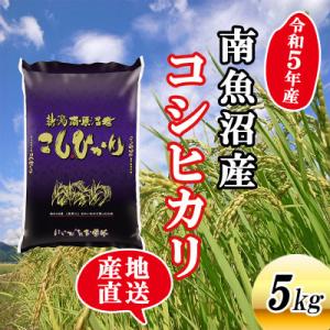 ふるさと納税 南魚沼市 【令和5年産】新潟県南魚沼産コシヒカリ5kg