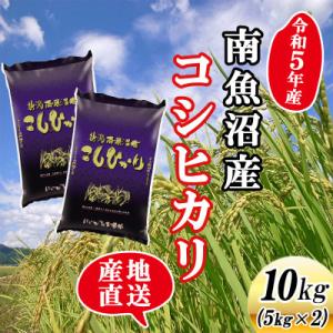 ふるさと納税 南魚沼市 【令和5年産】新潟県南魚沼産コシヒカリ10kg