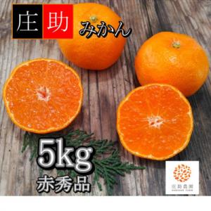 <先行受付2026年10月末より発送>有田・庄助みかん5kg(赤秀品)