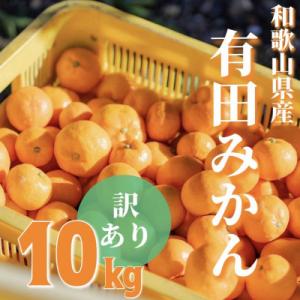 【2026年10月中旬頃より順次発送】【訳あり】和歌山県産　有田みかん　約10kg