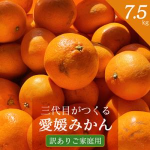 ふるさと納税 八幡浜市 【三つ星ブランド】星乃みかん(5.5kg)【C45-99