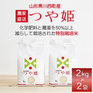 ふるさと納税 川西町 【2024年産　先行受付】　山形県産　つや姫　4kg