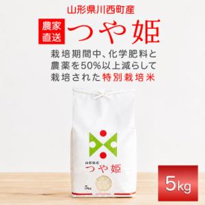 《先行予約》令和8年産　山形県産　つや姫　5kg