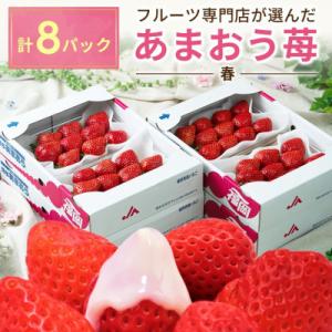 【2027年発送先行受付】さとふる限定!フルーツ専門店が選んだ「あまおう苺」春8パック(篠栗町)