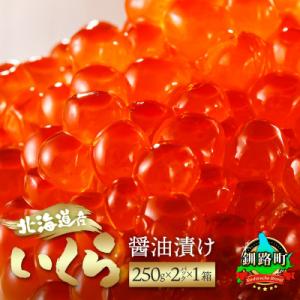 いくら醤油漬け ＜250g×2パック 500g＞×1箱 北海道産の鮭卵