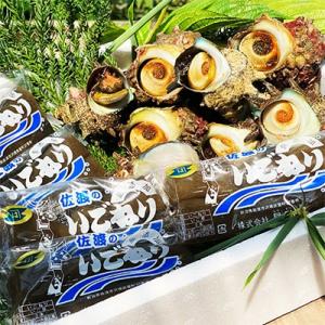 ふるさと納税 佐渡市 佐渡産　活サザエ1.2kg(8〜10個)+佐渡のソールフード「いごねり」5パック｜y-sf