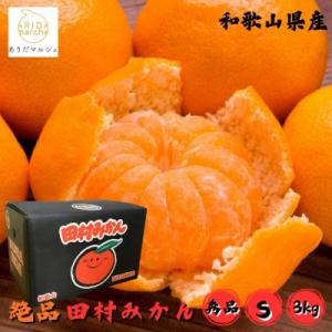 ≪2026年11月～発送≫【和歌山プラミアムブランド】田村みかん Sサイズ 秀品 約3kg