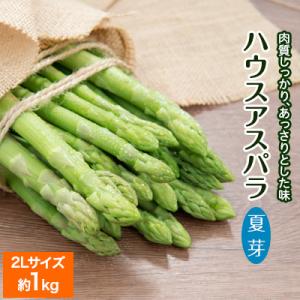 ふるさと納税 美幌町 [先行]2023年産 ハウスアスパラ(夏芽)2Lサイズ　約1kg