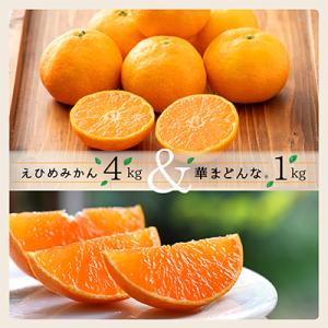 コウ果樹園の「えひめみかん4kg・華まどんな1kg 詰め合せ」【D33-12】