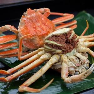 アイテムID:337084の画像1枚目