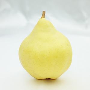 【2026年先行予約】 新潟特産 幻の洋梨ル・レクチェ 厳選品 約2kg 《11月下旬以降配送》