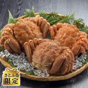 【さとふる限定】浜茹で毛ガニ×3杯[北海道近海産] 産地直送