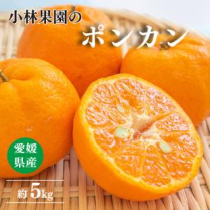 小林果園のポンカン(約5kg)【C24-18】