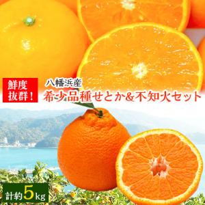 ふるさと納税 八幡浜市 小林果園のせとか&amp;不知火セット(各約2.5kg入)【C24-21】