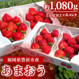 ふるさと納税 豊前市 1月発送　いちご【あまおう】　福岡県豊前市産　270g以上×4パック