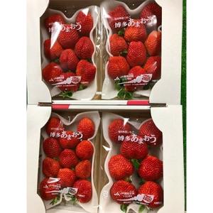 ふるさと納税 豊前市 3月以降　いちご福岡県豊前市産　270g以上×4パック