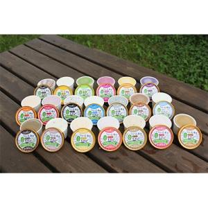 ふるさと納税 弟子屈町 北海道　くりーむ童話アイスクリーム全20種類　100ml×20　