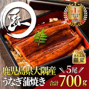 ふるさと納税 鹿屋市 【さとふる限定】鹿児島県大隅産うなぎ蒲焼5尾(計700g)