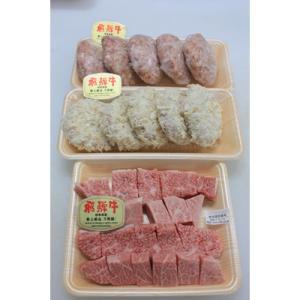 ふるさと納税 神戸町 【飛騨牛づくし】鳥文のファミリーセットA