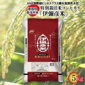 令和7年産特別栽培米コシヒカリ「伊彌彦米」5kg