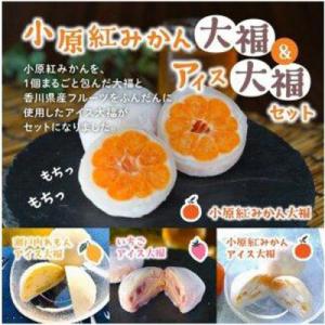 小原紅みかん大福(6個)&アイス大福3種(各2個)セット