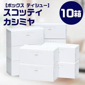 ふるさと納税 福知山市 【ボックスティッシュ】　スコッティ　カシミヤ　10箱　C25