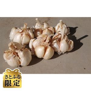 ふるさと納税 東北町 青森県東北町産乾燥にんにく3kg(さとふる限定)