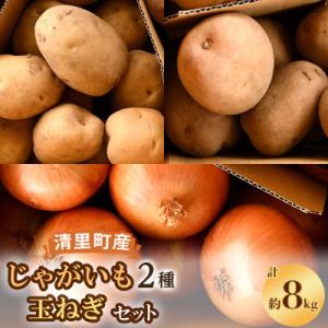 【先行受付】清里町産じゃがいも2種・玉ねぎセット【約8kg】