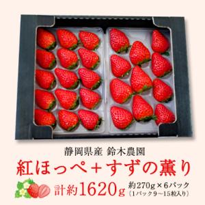 【2027年発送先行受付】静岡県産いちご「紅ほっぺ+すずの薫り」6P 約1.6kg(約270g×6)