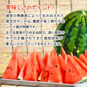 ふるさと納税 尾花沢市 【先行受付】尾花沢産ス...の詳細画像1