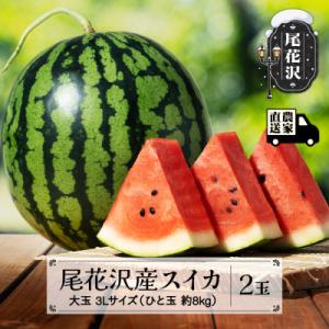 【先行受付】尾花沢産スイカ 3Lサイズ(約8kg)×2玉 令和8年産 観光物産 kb-su3xx2