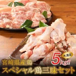 宮崎県産鶏 スペシャル鶏三昧5kgセット