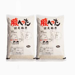 はえぬき精米10kg(5kg×2袋)