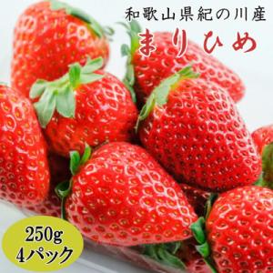 【和歌山県オリジナル品種】紀の川市産「まりひめ」約1kg(250g×4パック入り)