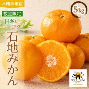 あまーい温州みかん(石地みかん)5kg[数量限定]【C56-8】